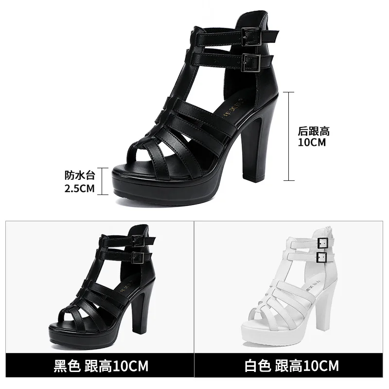 Gladiator Ladies Shoe for Wome - Summer Clothing For Petite Women avis et prix